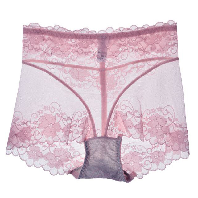 5 Pack Lot Sexy Womens Sheer Lace Panties Briefs See Through Underwear Lingeries