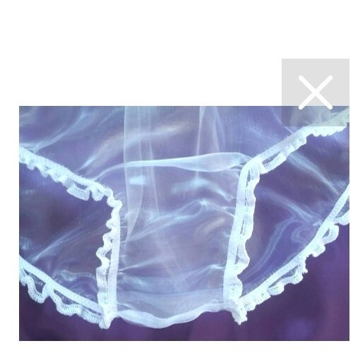🌸MADE TO ORDER* “Organza see-through ” Sissy Knickers any size&colour 🌸