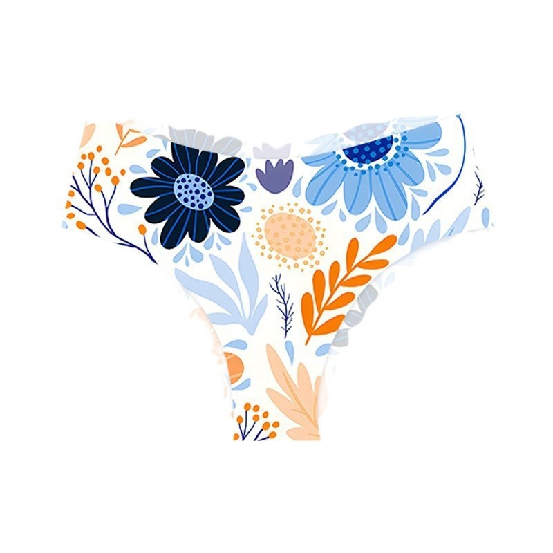 6 Pack Fancy Girl Panty Pack Comfortable No Show Bikini Briefs Set for Women