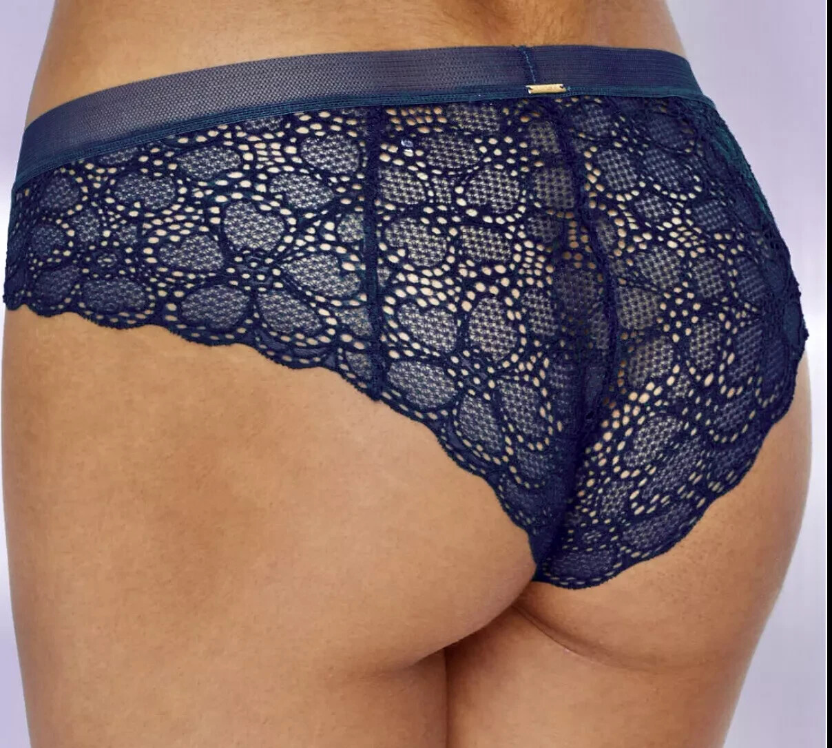 DKNY Women’s SUPERIOR LACE BRAZILIAN Panties Cheeky Blue Lingerie Bikini S