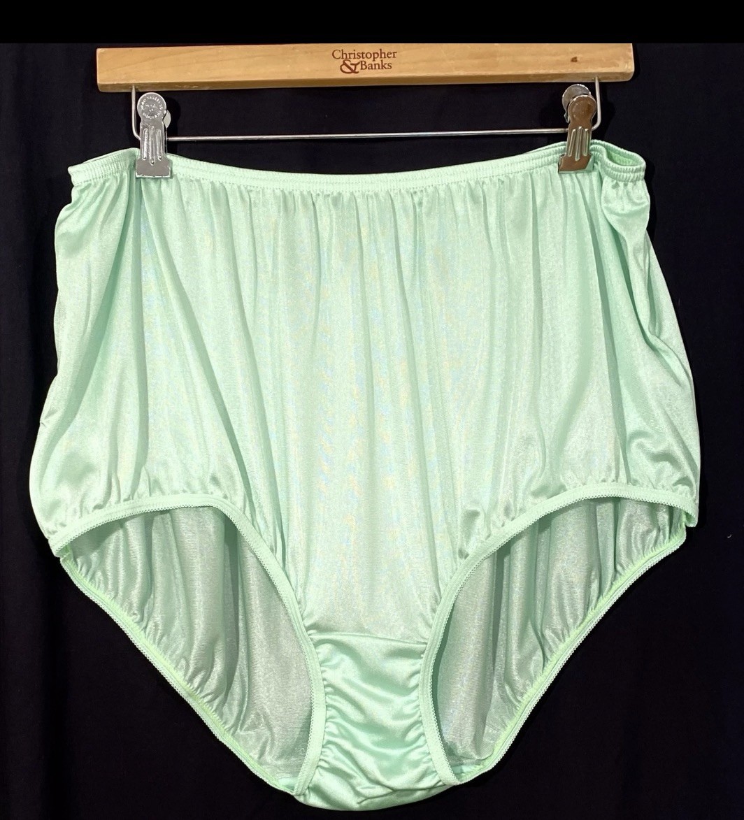 3 Pack ‘Plain Jane’ Panties Nylon Brief Panty Style 331 Teri Lingerie Sz 12