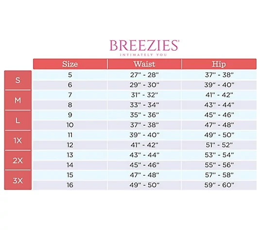 Breezies SleekLines Tummy Smoothing Hi-Cut Panty Set of 2,Ash Rose Large A451482