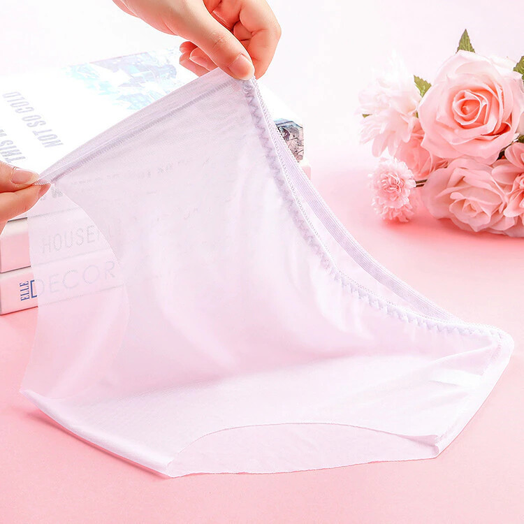 Vintage Style Sheer Transparent Nylon Panties Retro – Various colours