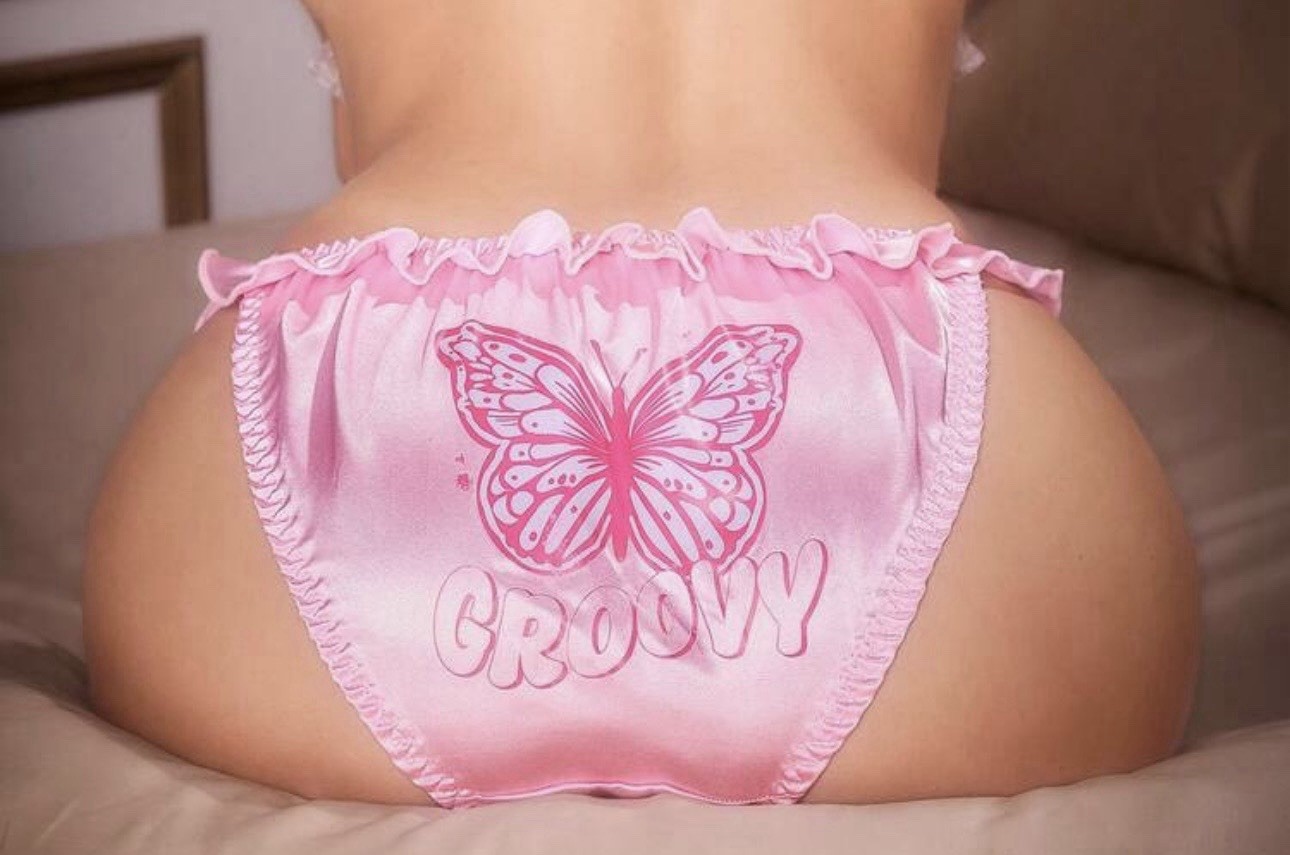 NEW XL Cute Glossy Pink Butterfly 🦋 Satin Ruffle Bikini Brief Panties Knickers