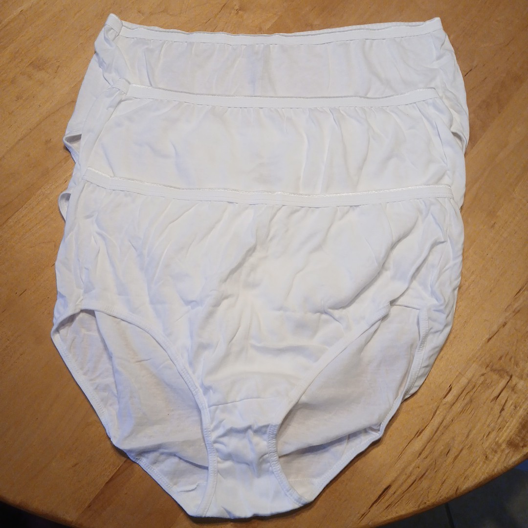 Just My Size Brief Panty 3 Pair 100% Cotton Panties Vtg Y2K 2000 New Size 10