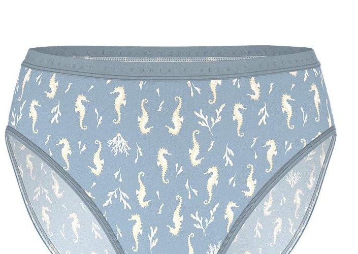 M L XL XXL Teal Seahorse Cotton Victorias Secret High-Leg Waist Brief Pantie