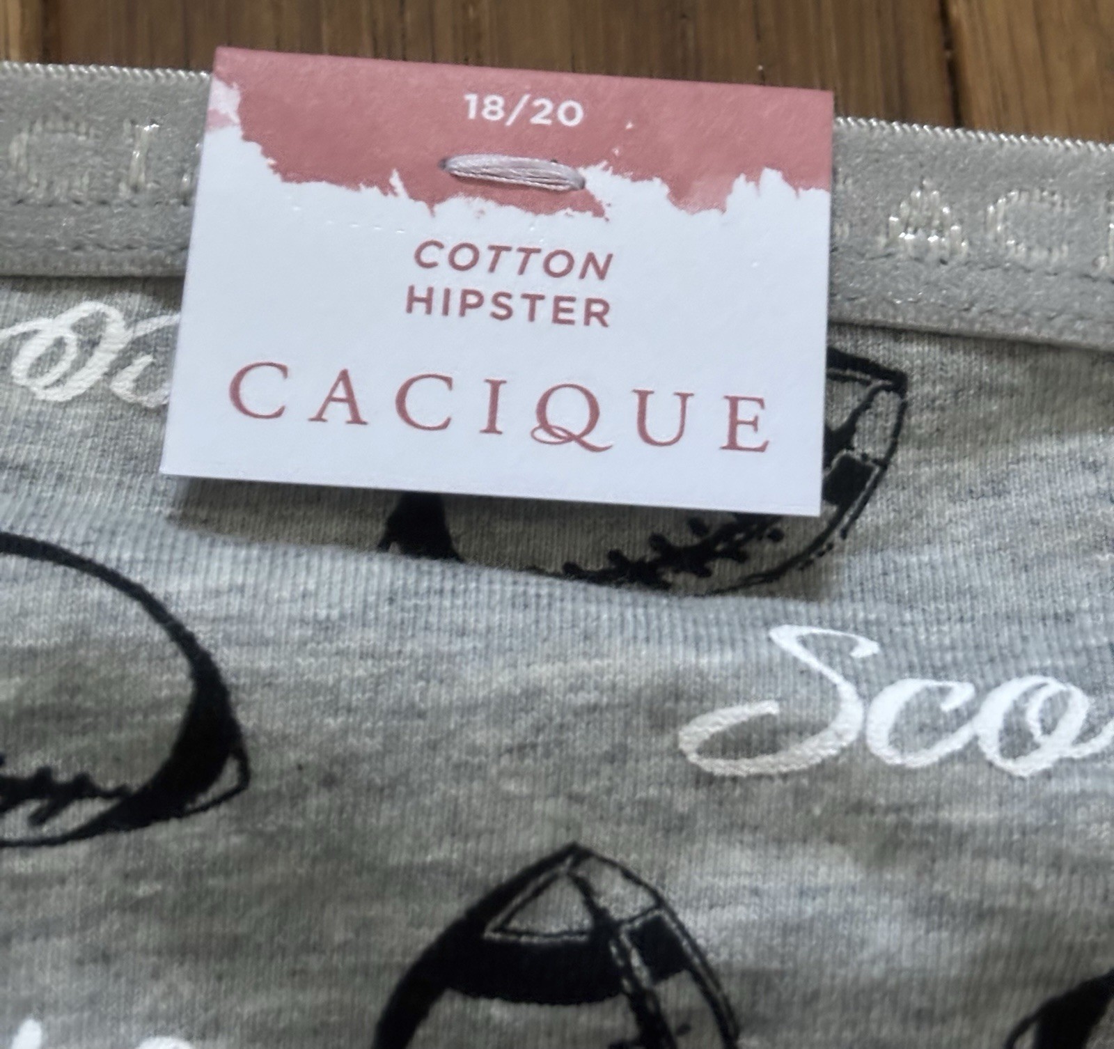 Plus Sz 18/20 Lane Bryant Cacique Hipster Cotton Panty Gray Football Fall Sports