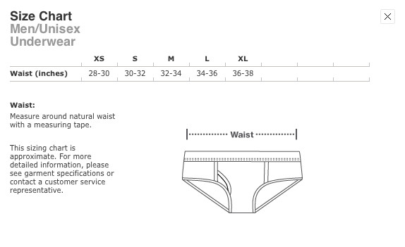 American Apparel Jersey Boy Brief : Sacred Heart : Live Diesel Underwear
