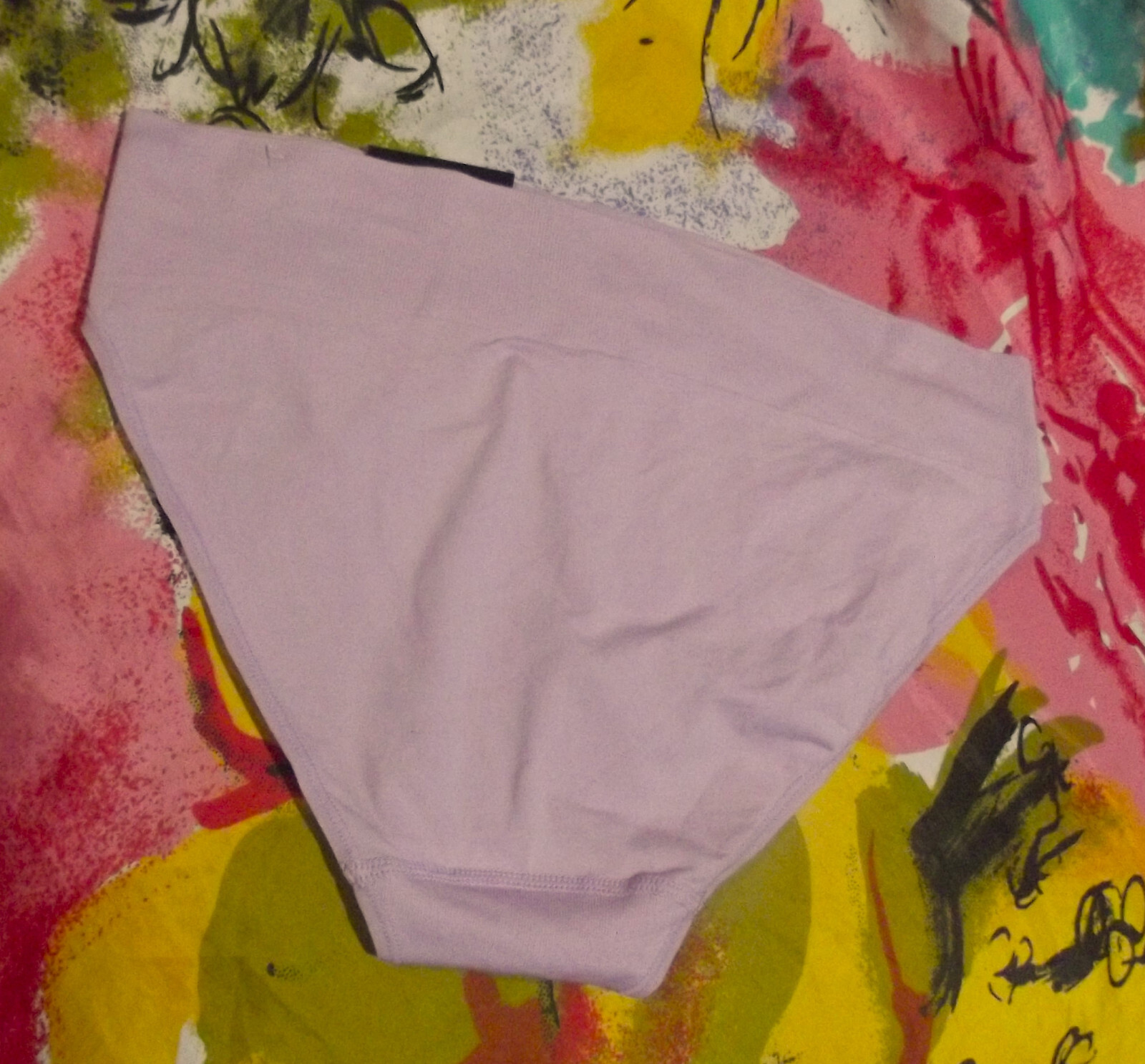2 NEW MAIDENFORM DM2317 9J8 SOFT STRETCH SEAMLESS HIGH LEG BIKINI PANTIES L/7