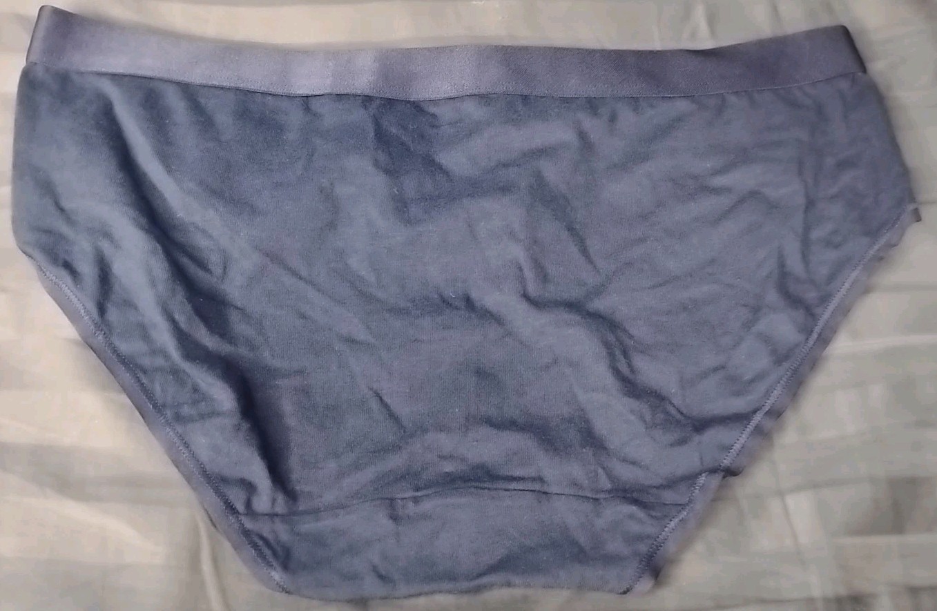 3x Champion Underwear Size L Women’s Stretch Panties Hipster Briefs Assorted