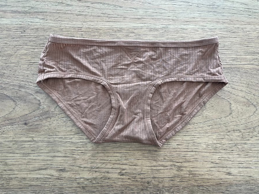 Aerie Smooth Brown SMALL Superchill Modal Rib Boybrief Underwear Panty NWT
