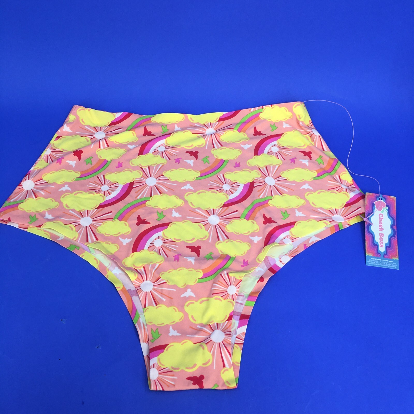 Cheek Boss Panties XL Pink Rainbow Sunshine Cheeky Underwear Women