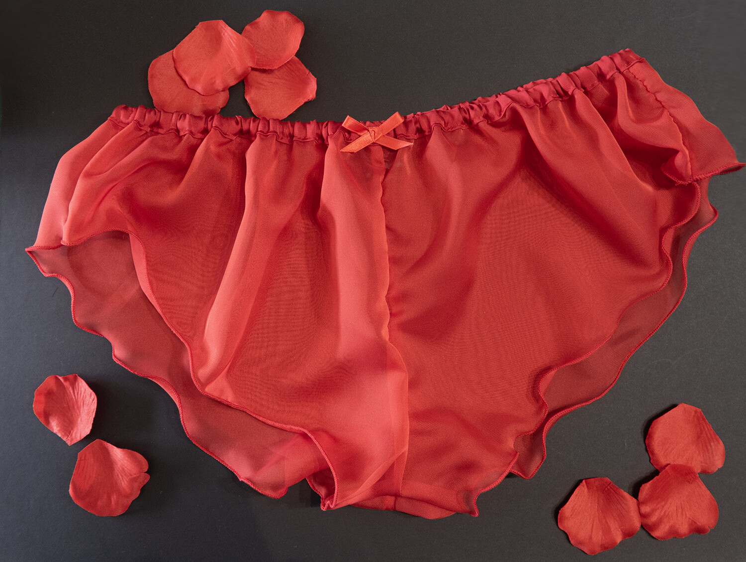 Red Chiffon Sheer Micro French Knickers sexy lingerie panties lingerie