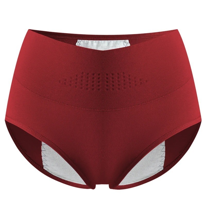 High Waist Menstrual Women Panties Widen Period Underwear Leak Proof Briefs USA