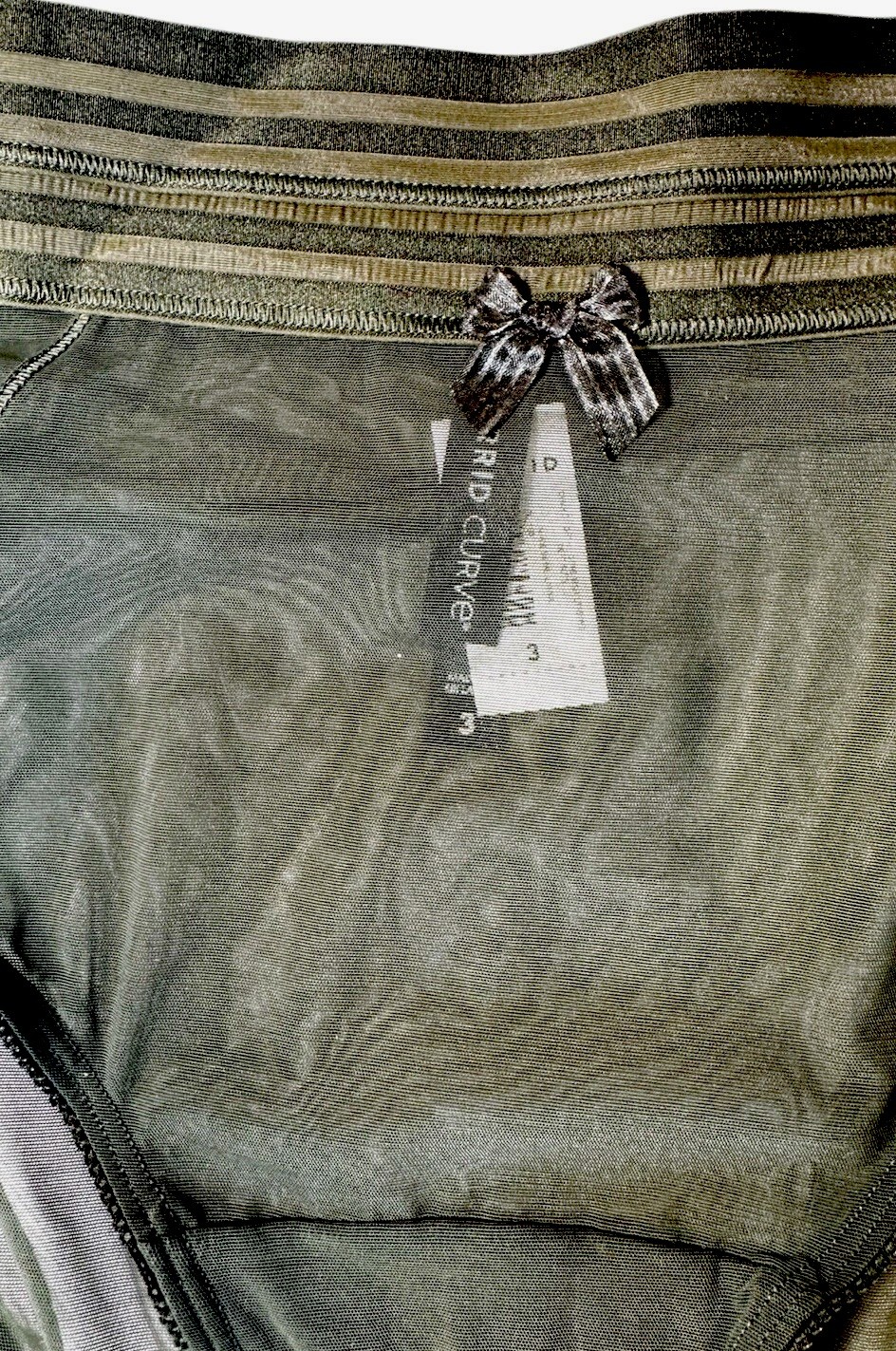 Torrid Mesh Sheer Cheeky Panties “Dark Depths” Olive Green Plus Size 4 4X 26