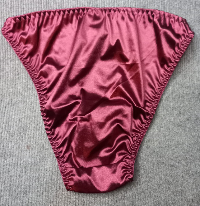 Women’s soft silky feel glossy tanga style panties various colours sissy CD TV