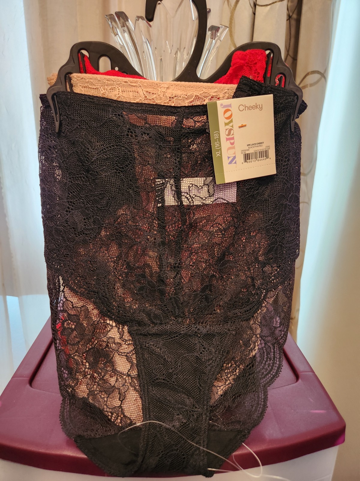 Joyspun Women’s Lace Cheeky Panties 3 Pair Brand New Pretty Floral XL 16-18