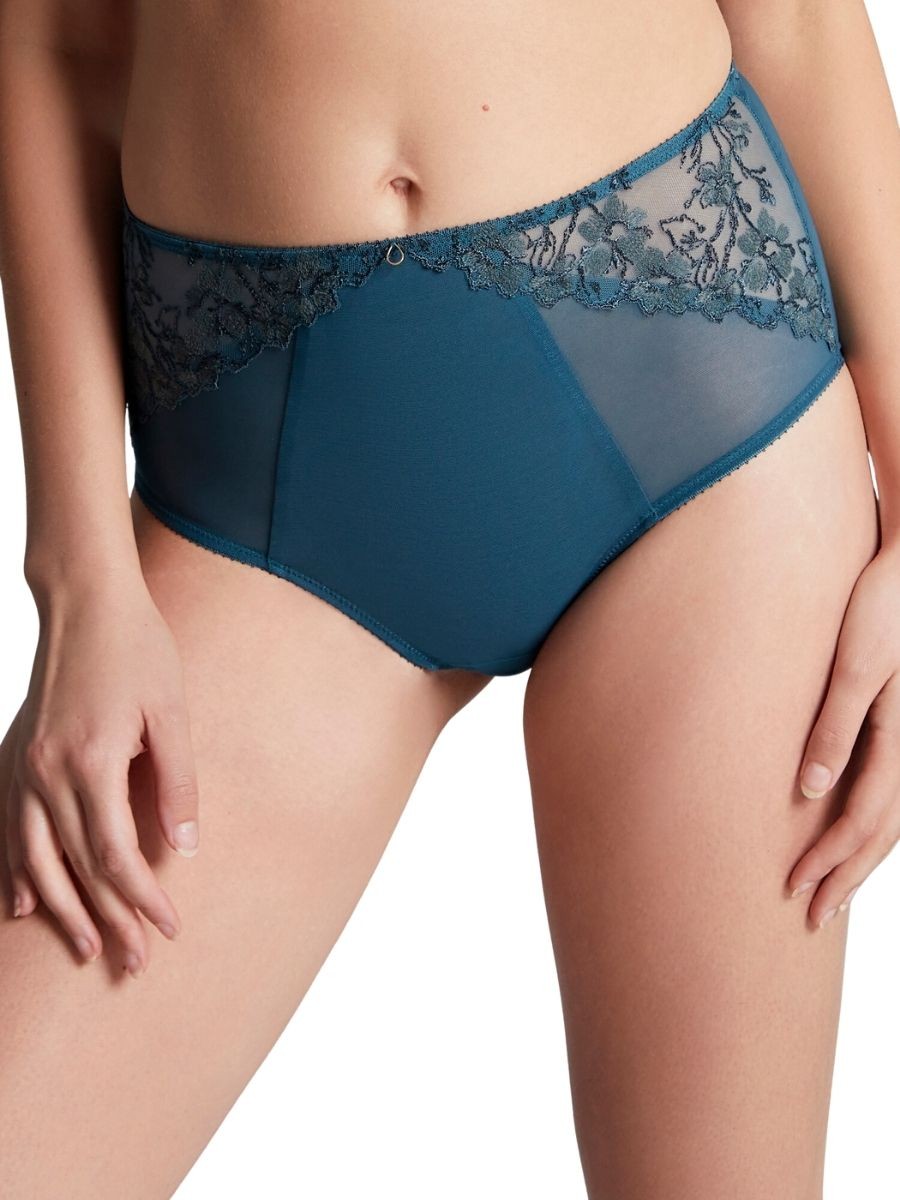 XS (8) Panache Emilia Deep Briefs Semi Sheer High Rise Full Knickers Lingerie