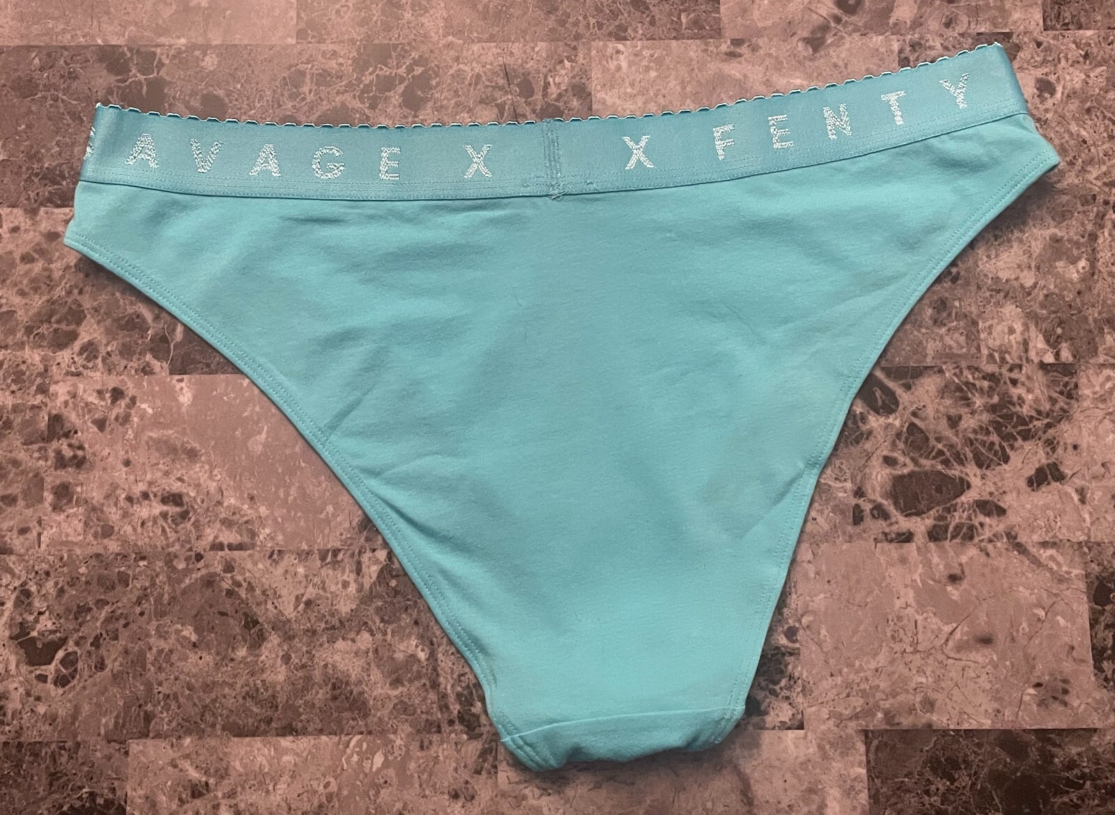 NWT SAVAGE FENTY XL AQUA THICK LOGO WAISTBAND HIGH LEG HIGH WAIST BIKINI PANTIES
