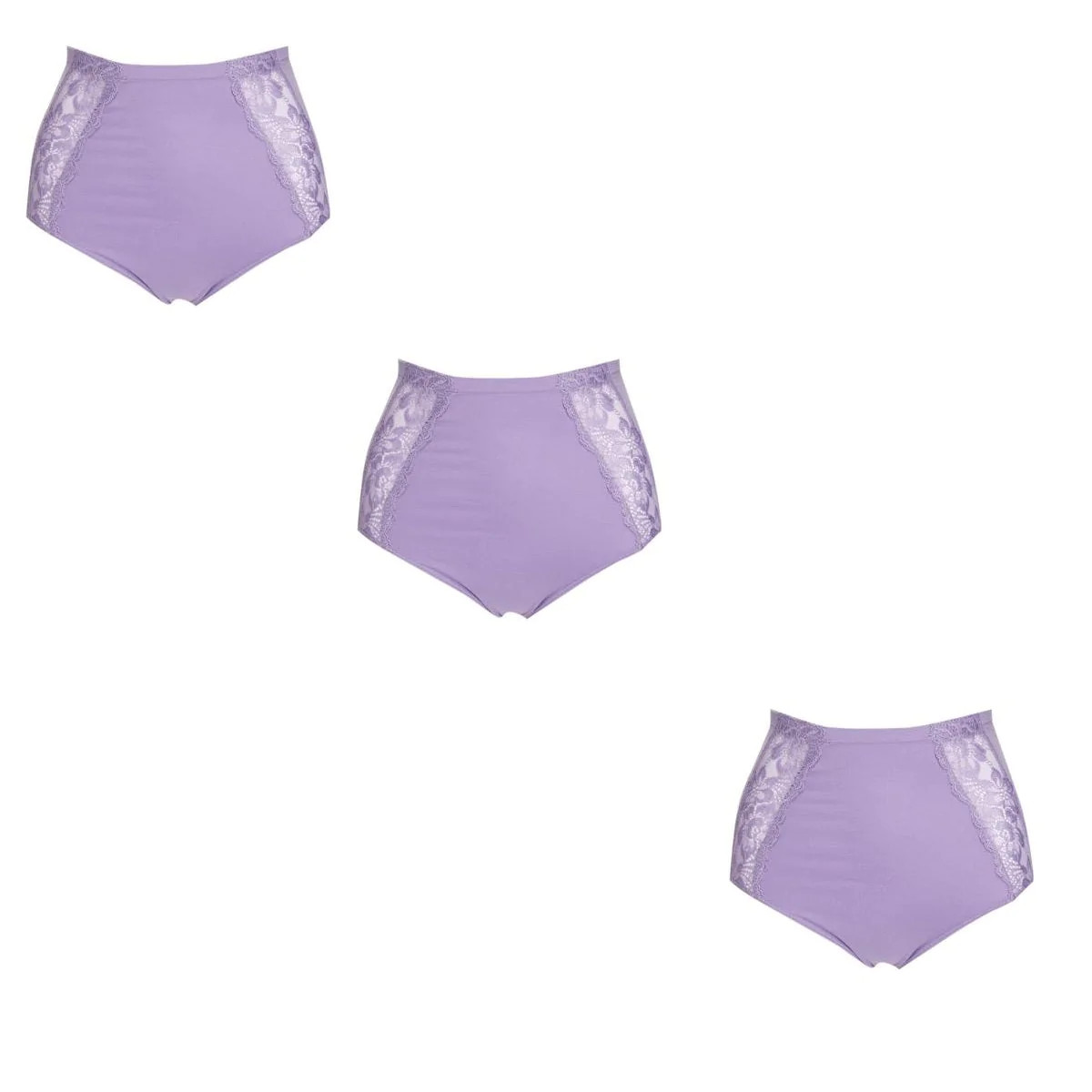 Rhonda Shear Seamless Lace Brief 3-pack 605377-J