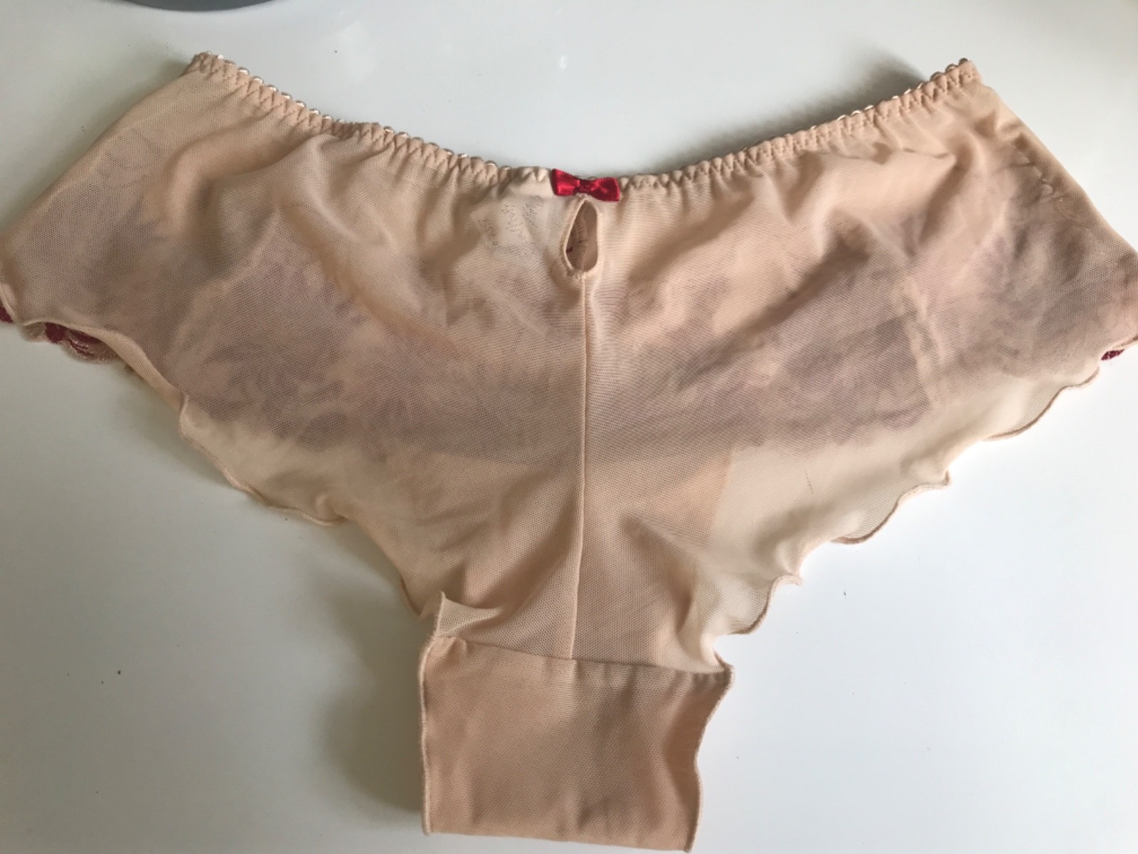 Pour moi lace almond brief mesh back red embroidery uk Size 10 lace new