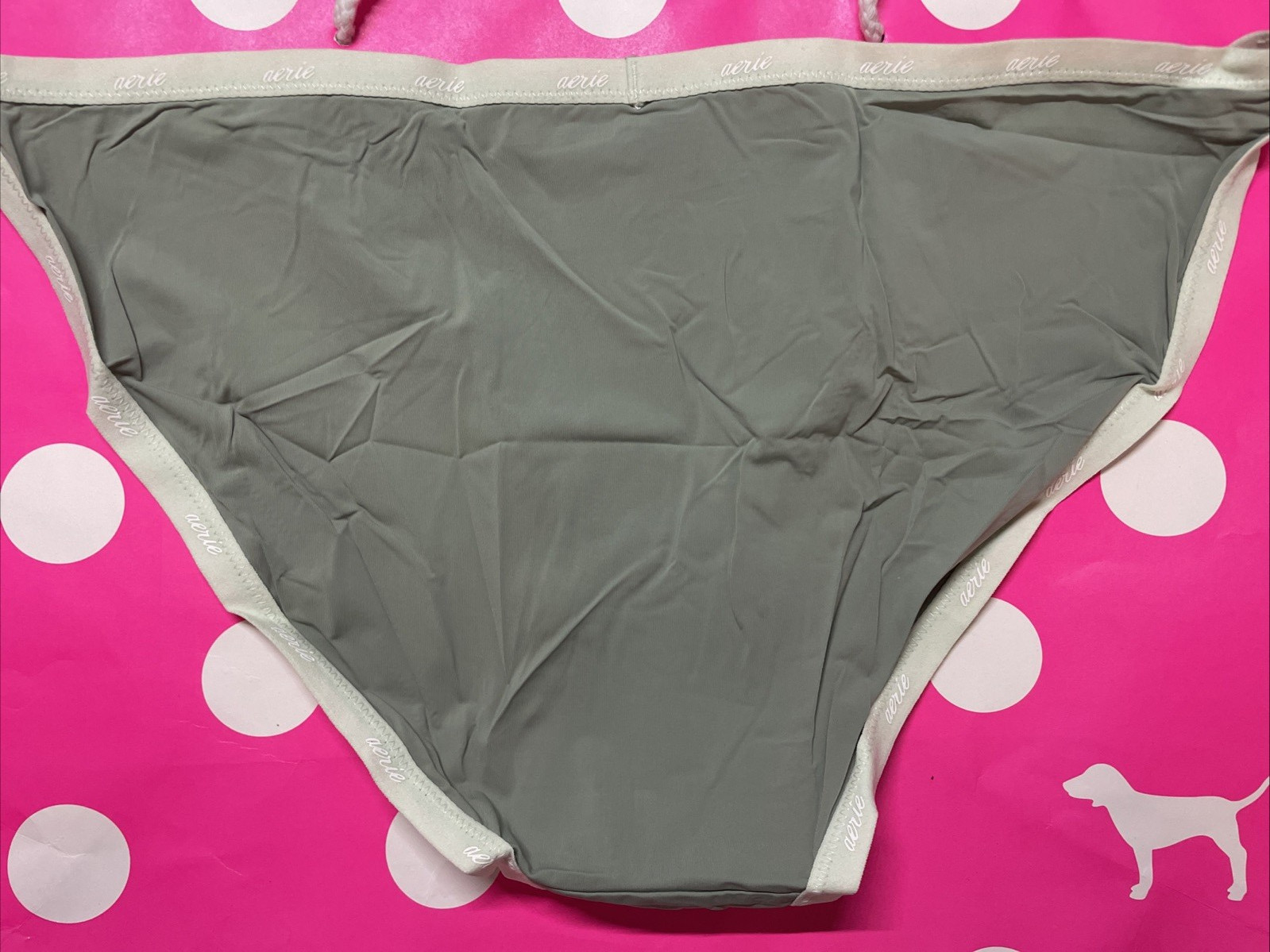 NWT AERIE AMERICAN EAGLE L Green SMOOTH THIN NYLON SPANDEX STRING BIKINI PANTIES