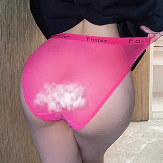 6PCS/LOT Sexy Womens See Through Sheer Panties Brief Lingeries Underwear Hipster