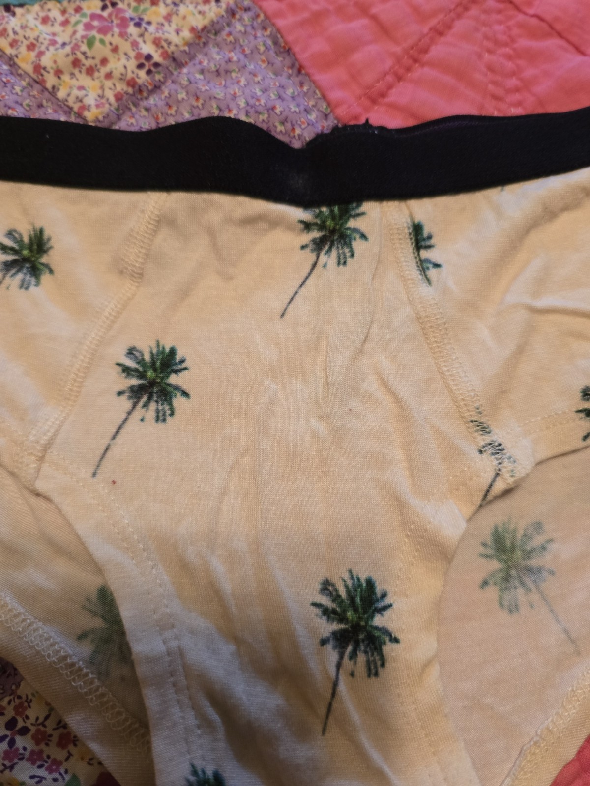 MeUndies Ultra Modal Cheeky Briefs – 1 Purple, 1 Beige W/Palm Trees 🌴