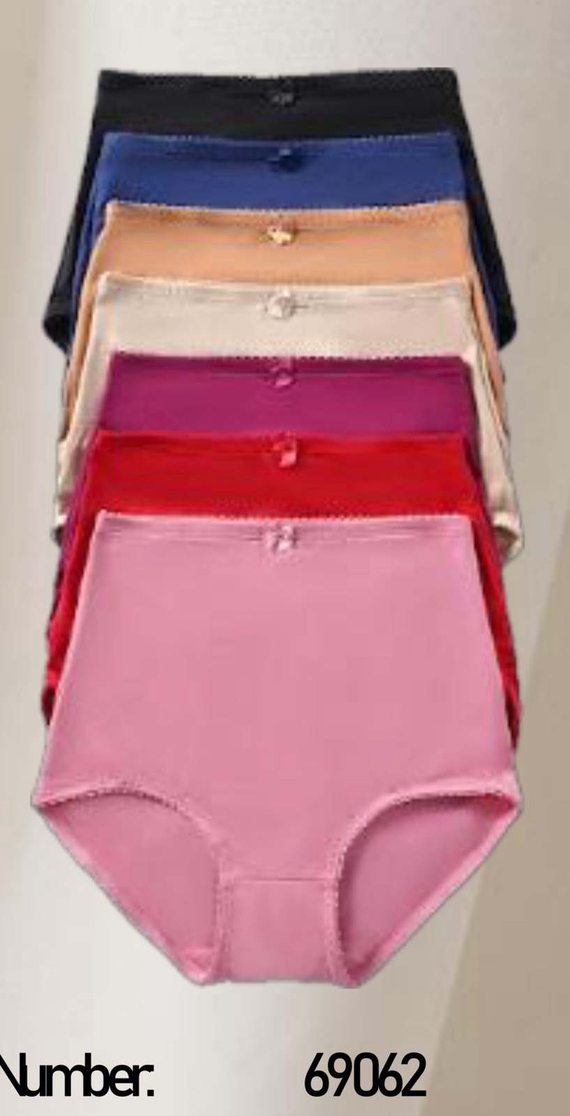6 Plus Women Full Coverage High Waist Light Tummy Control Satin Girdle Panty 2X