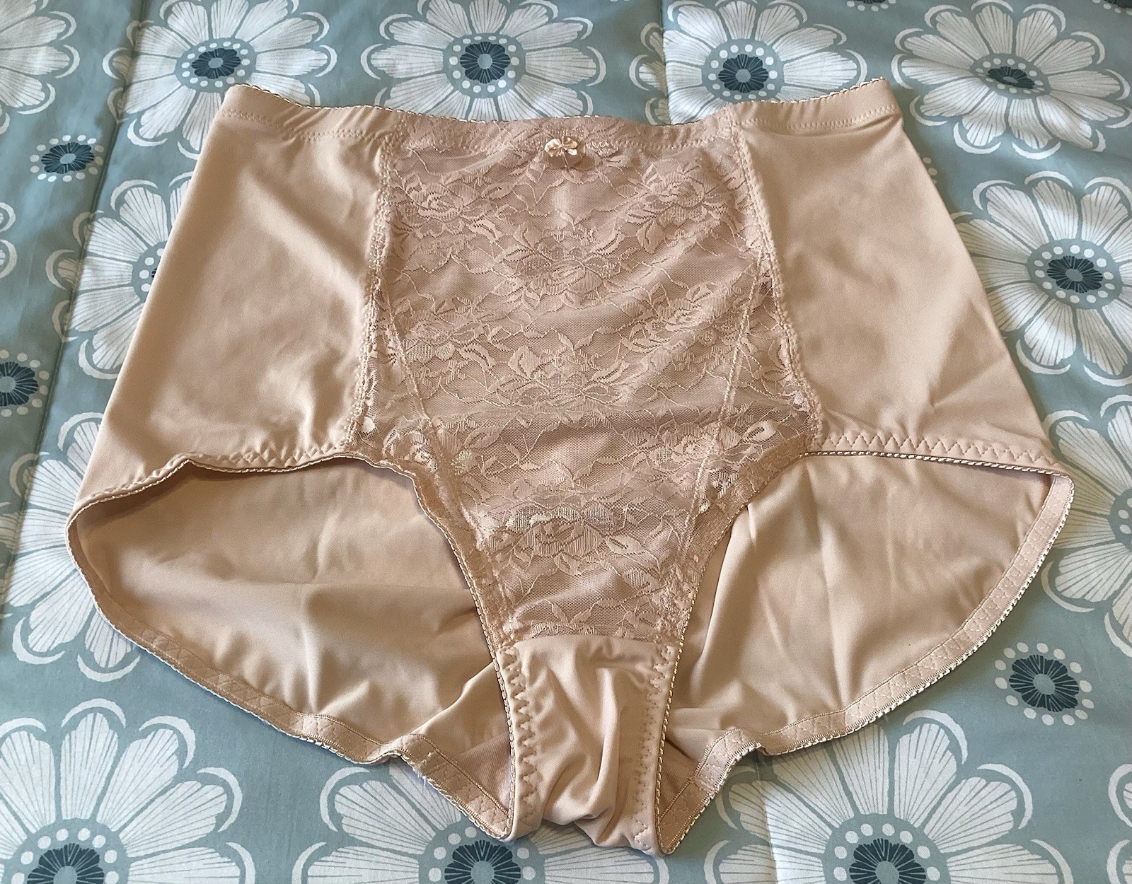 Rhonda Shear Pin-Up Lace Front Brief Panties 2Pack 1X Style3999 Pink&Purple NWT