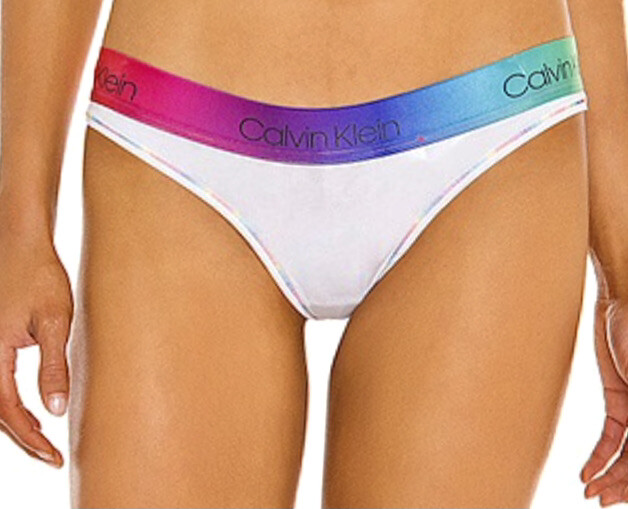 CALVIN KLEIN Modern Cotton Pride White Pink Bikini Panty Women Sz S 5 M 6 QF6539