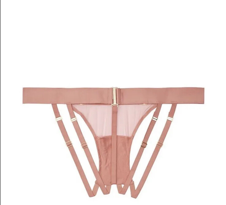 Victoria’s Secret Link Hardware Brazilian Panty Rose Clay Medium