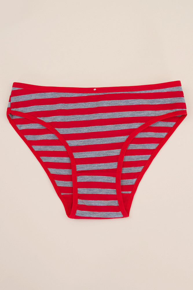 ScarvesMe 5 pack Women’s Assorted Color Striped Cotton Sexy Bikini Panties