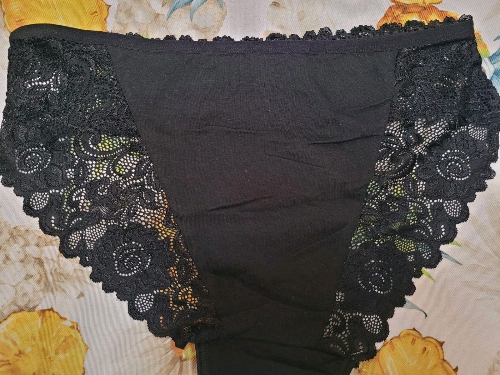 Retro Chic Women’s Sheer Sexy Lace Ladies Mid-Rise Floral Brief Panty Nwot
