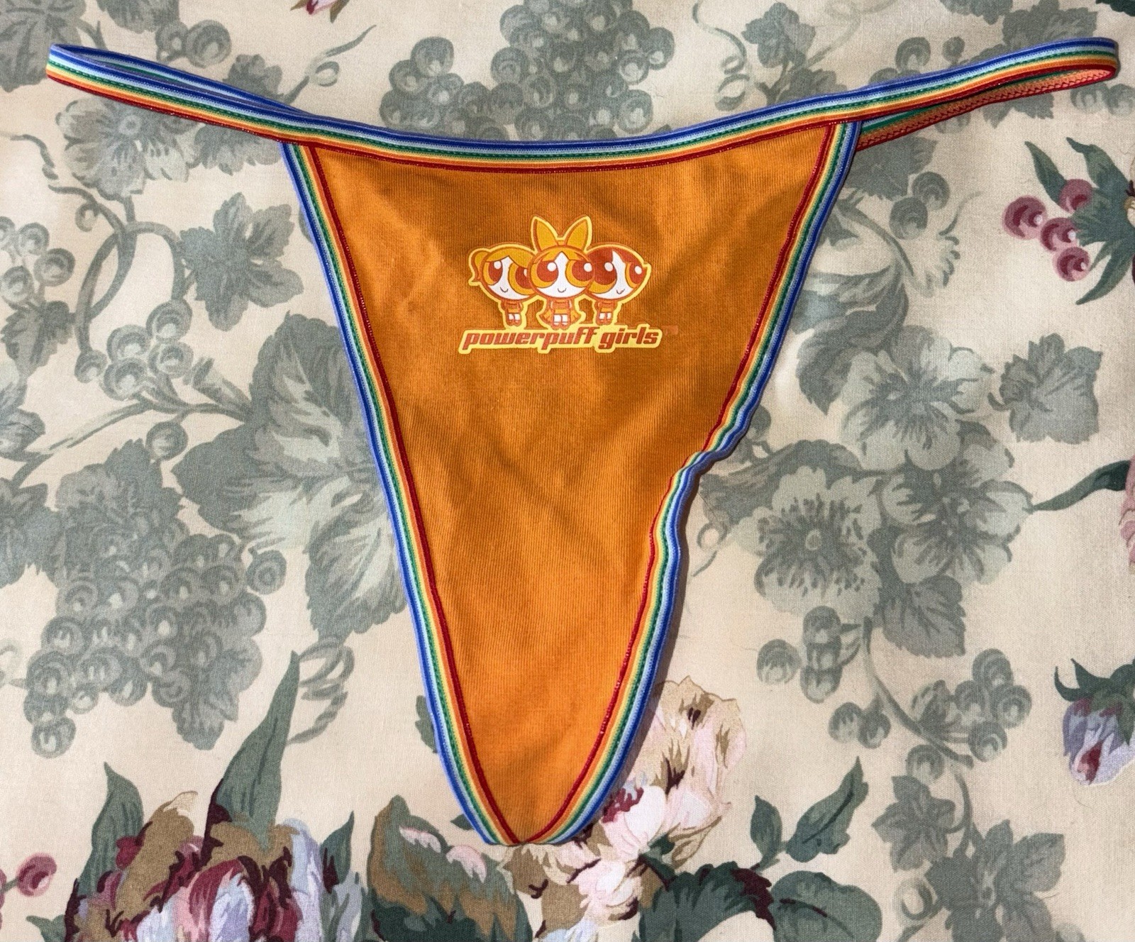 Powerpuff Girls Rainbow Waistband Cartoon M String Thong Panty Underwear Princes
