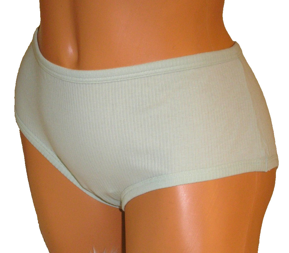 Aerie Pastel Green Ribbed Boybrief Culotte Panties Lingerie XL / 1X