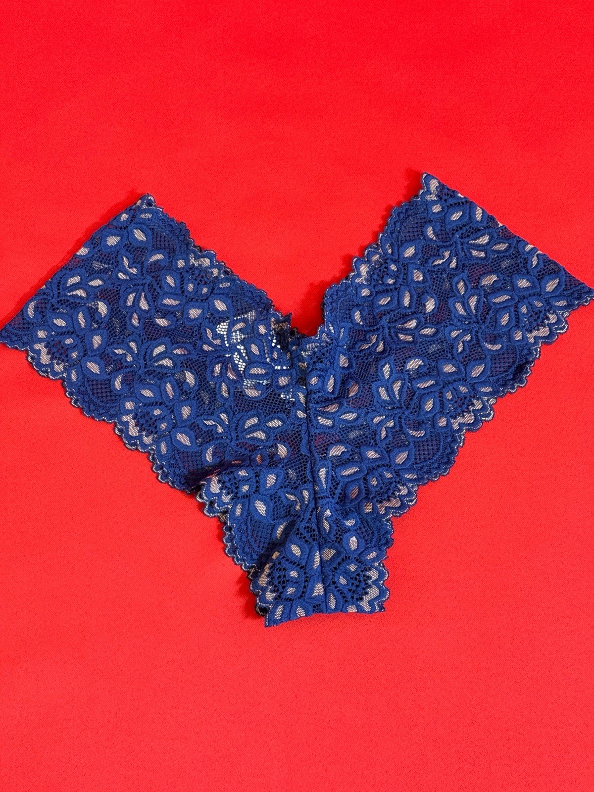 Sz Small 🦋 Frederick Of Hollywood Blue Panties Gorgeous Lace Women’s