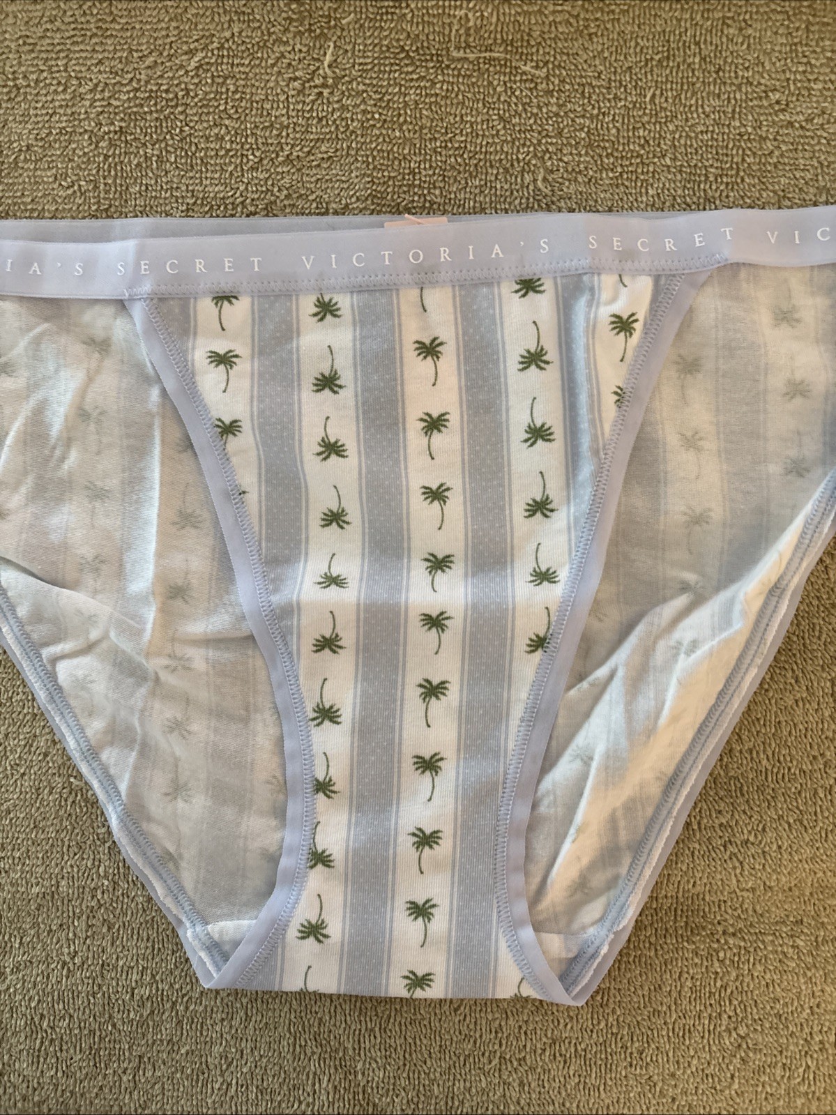 Victoria’s Secret Medium Blue Striped Cotton String Bikini Panty