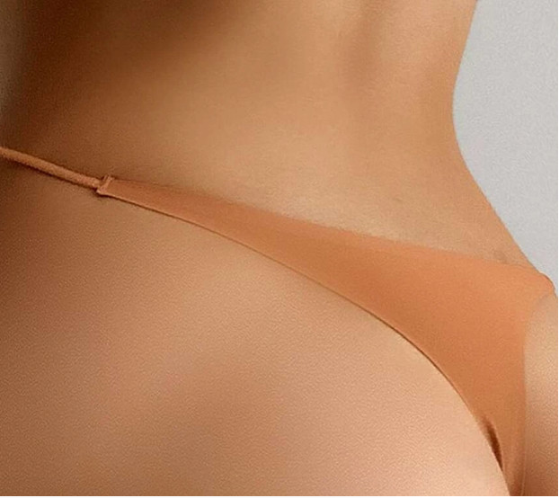 Shein Plain Seamless Panty And Embroidery Mesh Cut-Out Thong Size Medium