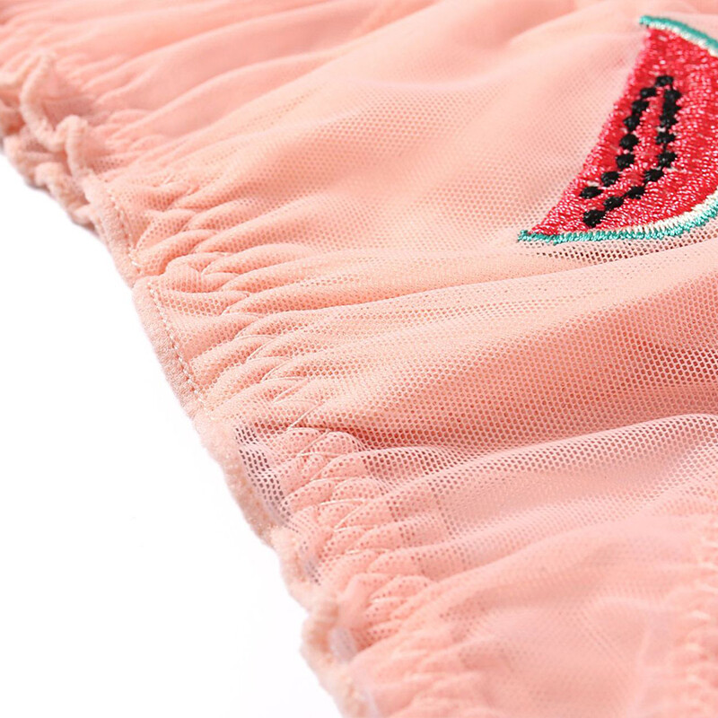 Cute Mesh Underwear Women Sexy Lace Low-waist Pantie Perspective Triangle Pants.