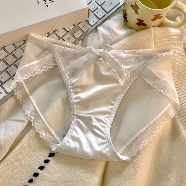 5Pack Lot Womens Satin Panties Bikini Brief Sheer See Through Underwear Lingerie