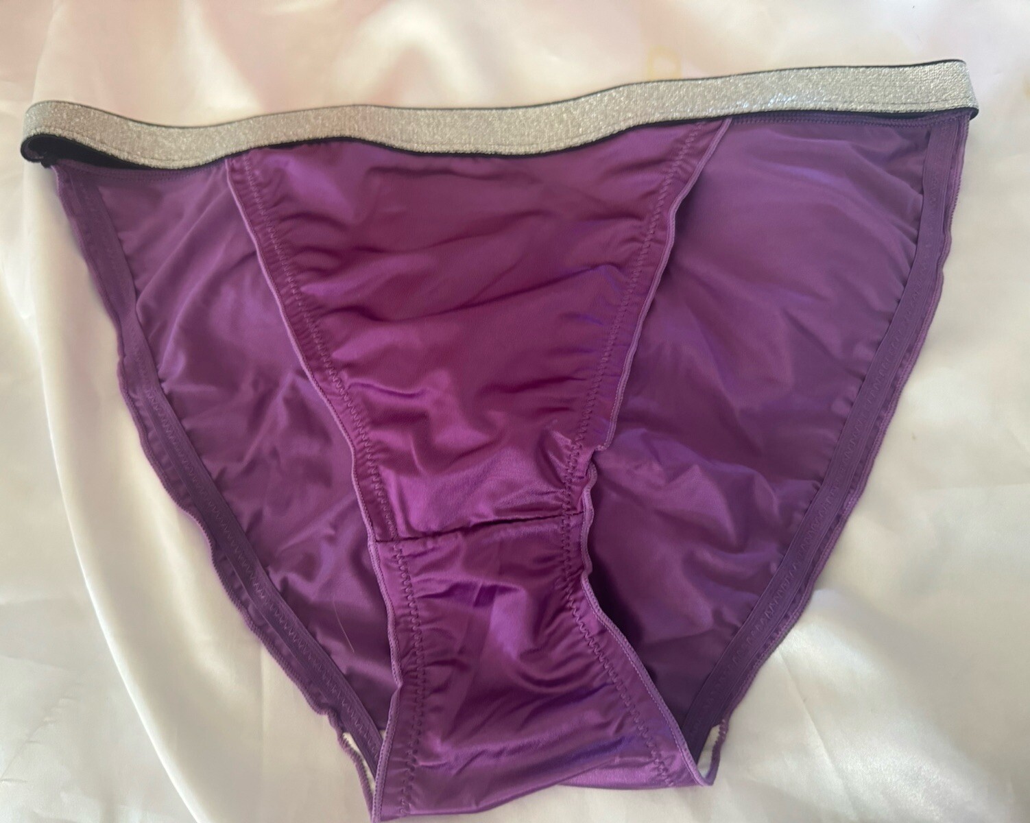 Shiny Purple Satin Nylon Silver Sparkle Thick Band Bikini Panties Sz Lg