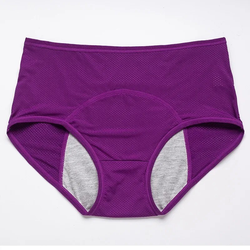 2Pcs Period Underwear Leak Proof Menstrual Panties Women Ice Silk Safety Briefs
