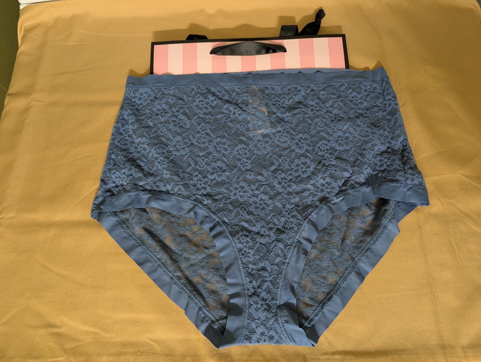 VICTORIA’S SECRET NO SHOW LACIE MODERN BRIEF PANTY SIZE XL 16-18 / MOONLGHT BLUE