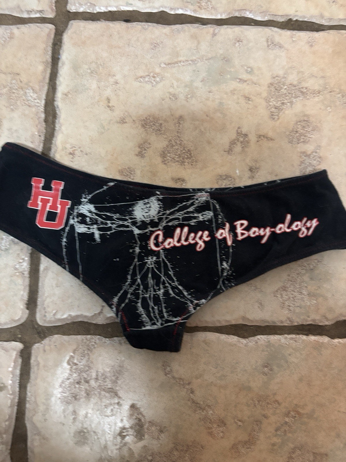 Vintage Y2K Hustler University College Of Boyology Booty Shorts Panty Medium