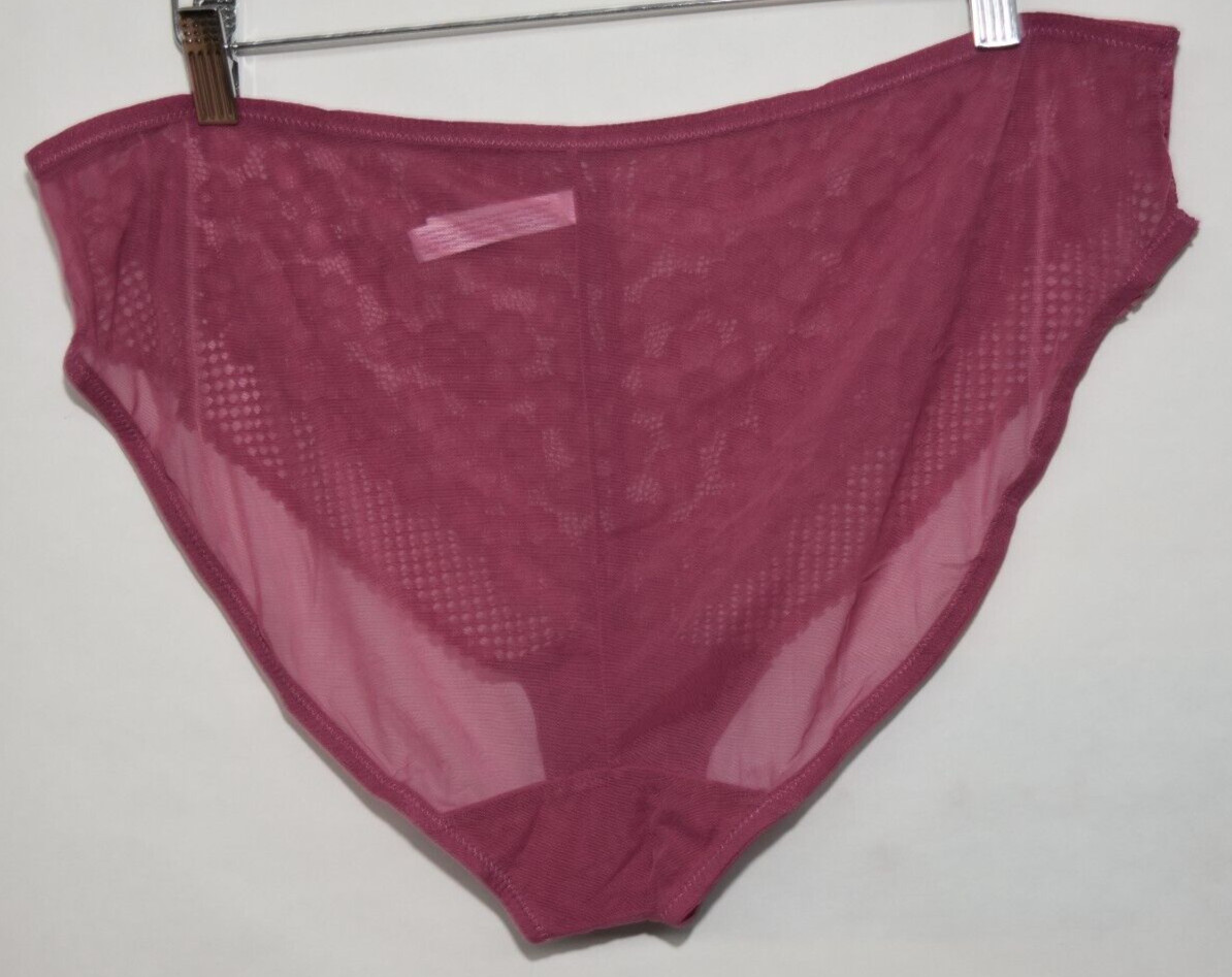 Adorned Adore Me Sheer Mesh Back Lace Front Bikini Panty XXL 2X 2XL Rose Blush