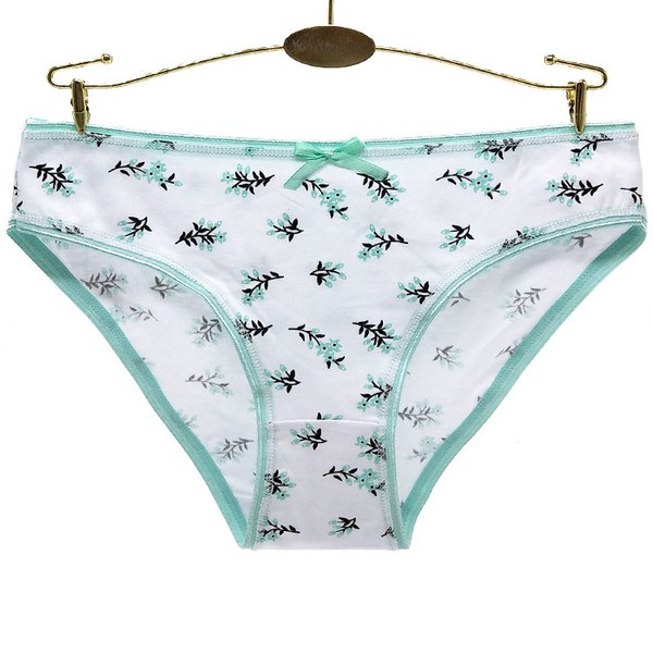 6 x Womens Sheer Spandex / Cotton Briefs – Assorted Colours Underwear Undies