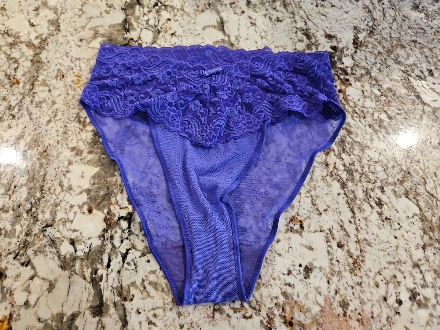 Victoria’s Secret Vintage 80s Gold Label Sheer Lace High Cut Brief Panties Large