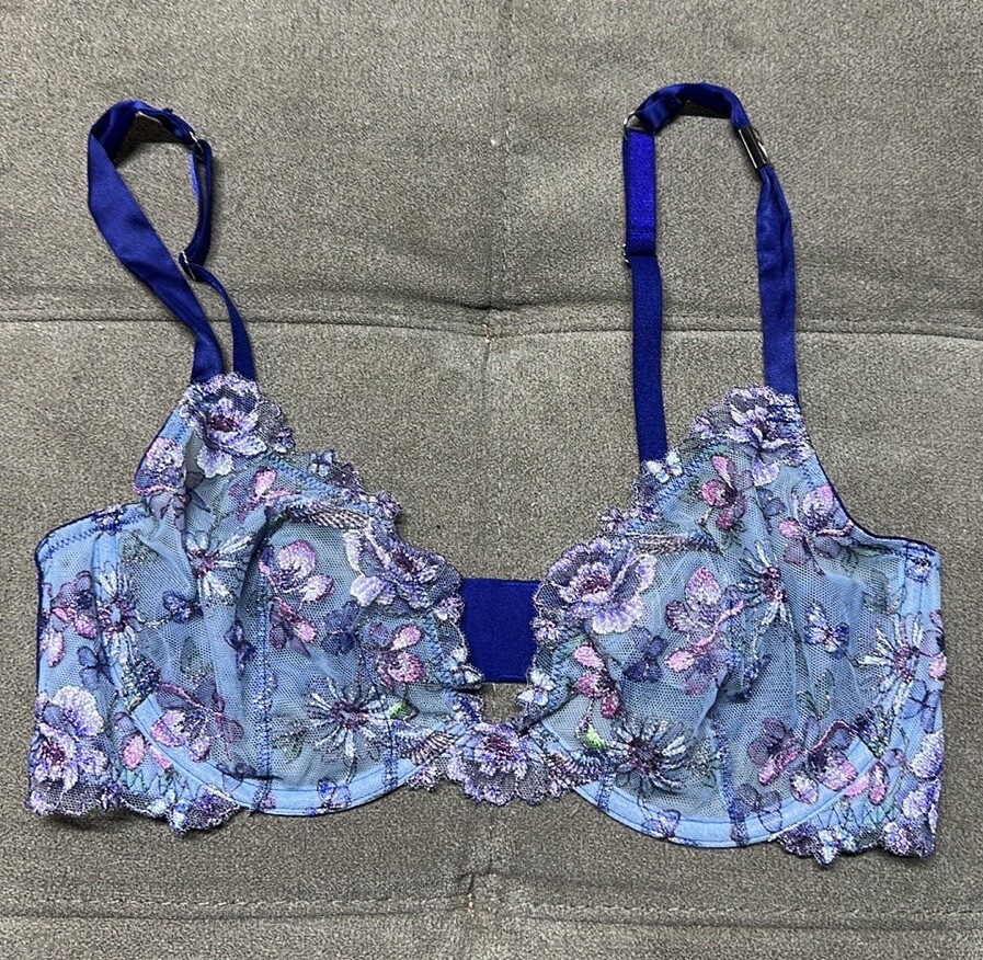 Victorias Secret Unlined Hummingbird Shine Embroidery Demi Bra and Panty Set