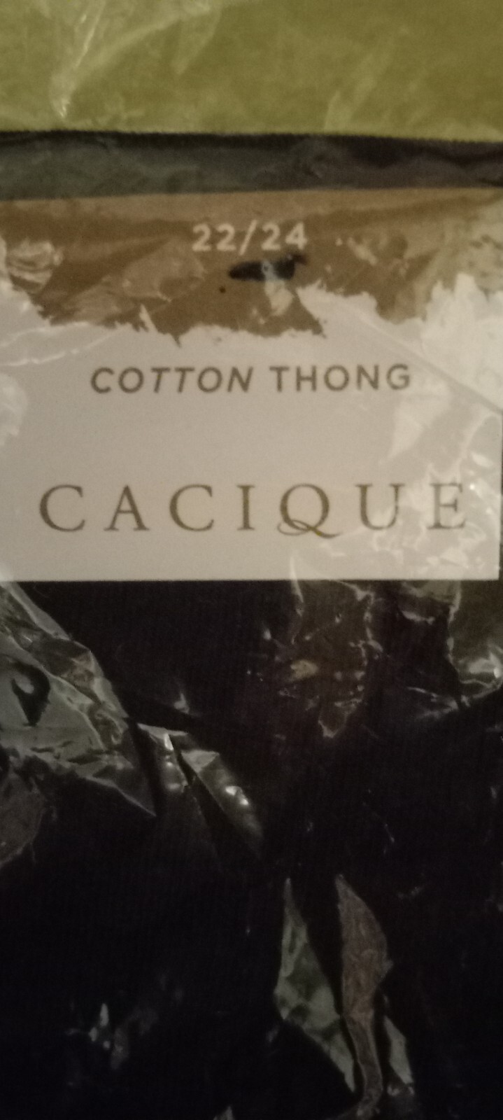 lane bryant panties 22/24